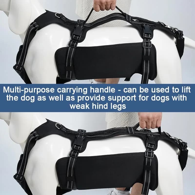 Coodeo Dog Lift Harness for Large Dogs, Black, L | Rehabilitation Support Sling for Old & Injured Pets thumbnail 6