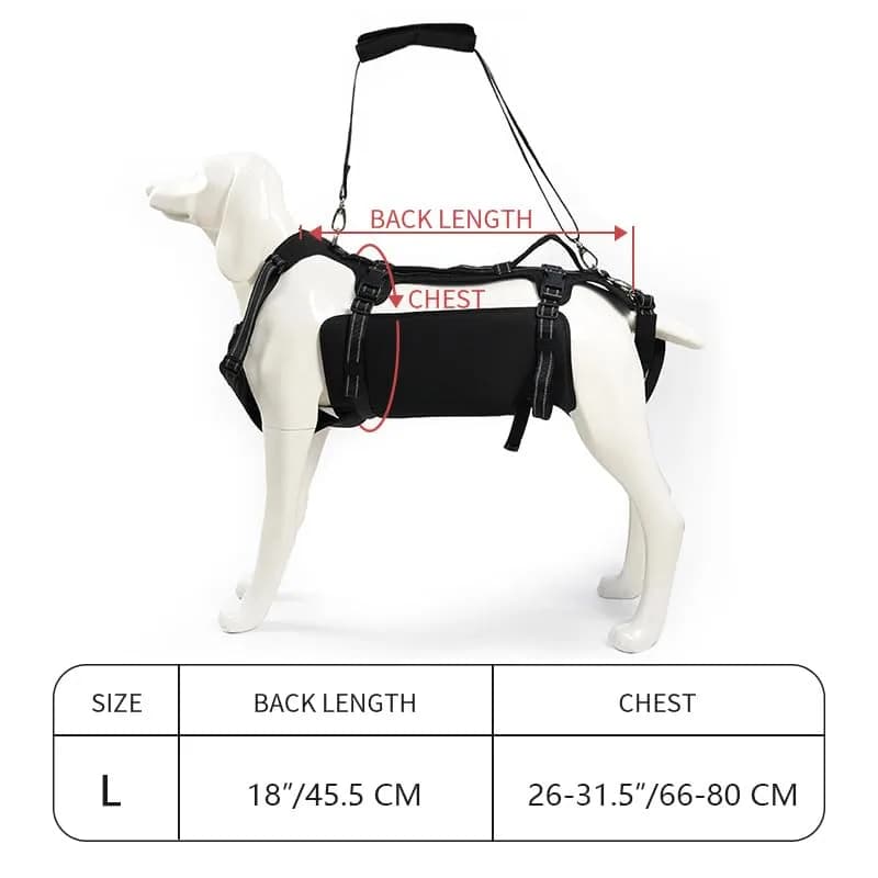 Coodeo Dog Lift Harness for Large Dogs, Black, L | Rehabilitation Support Sling for Old & Injured Pets - view 5