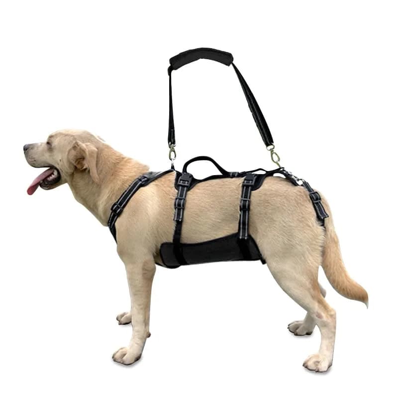 Coodeo Dog Lift Harness M Black | Support & Recovery Sling for Old, Disabled Dogs thumbnail 1