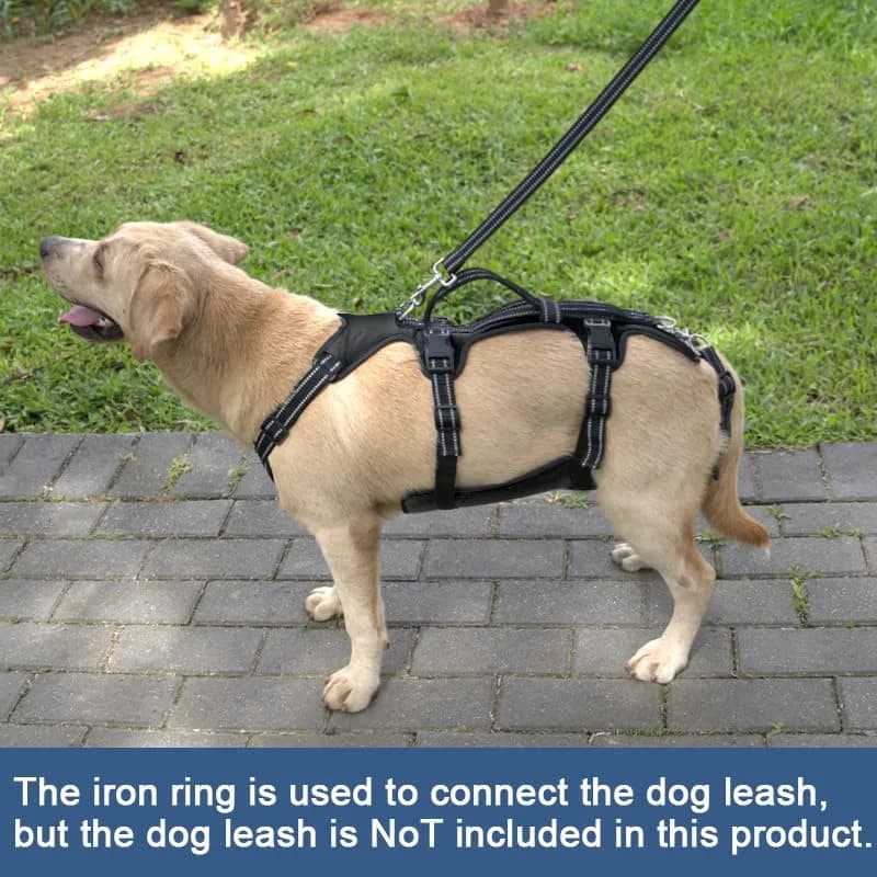 Coodeo Dog Lift Harness M Black | Support & Recovery Sling for Old, Disabled Dogs - view 4