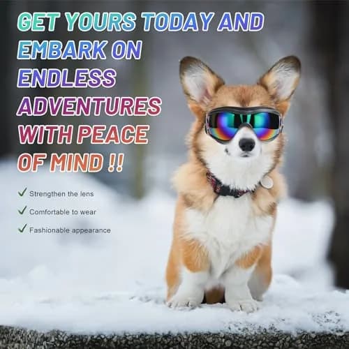 NVTED Dog Sunglasses Dog Goggles Medium Large Size Laser Pattern | UV Wind Dust Fog Protection Pet Glasses thumbnail 5
