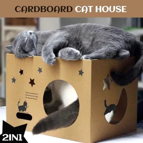 ARGOPET Cat Cardboard House with 2 Scratching Pads, 104cm x 61cm x 61cm (41"L x 24"W x 24"H) | Detachable Star Pattern Lounge thumbnail 4