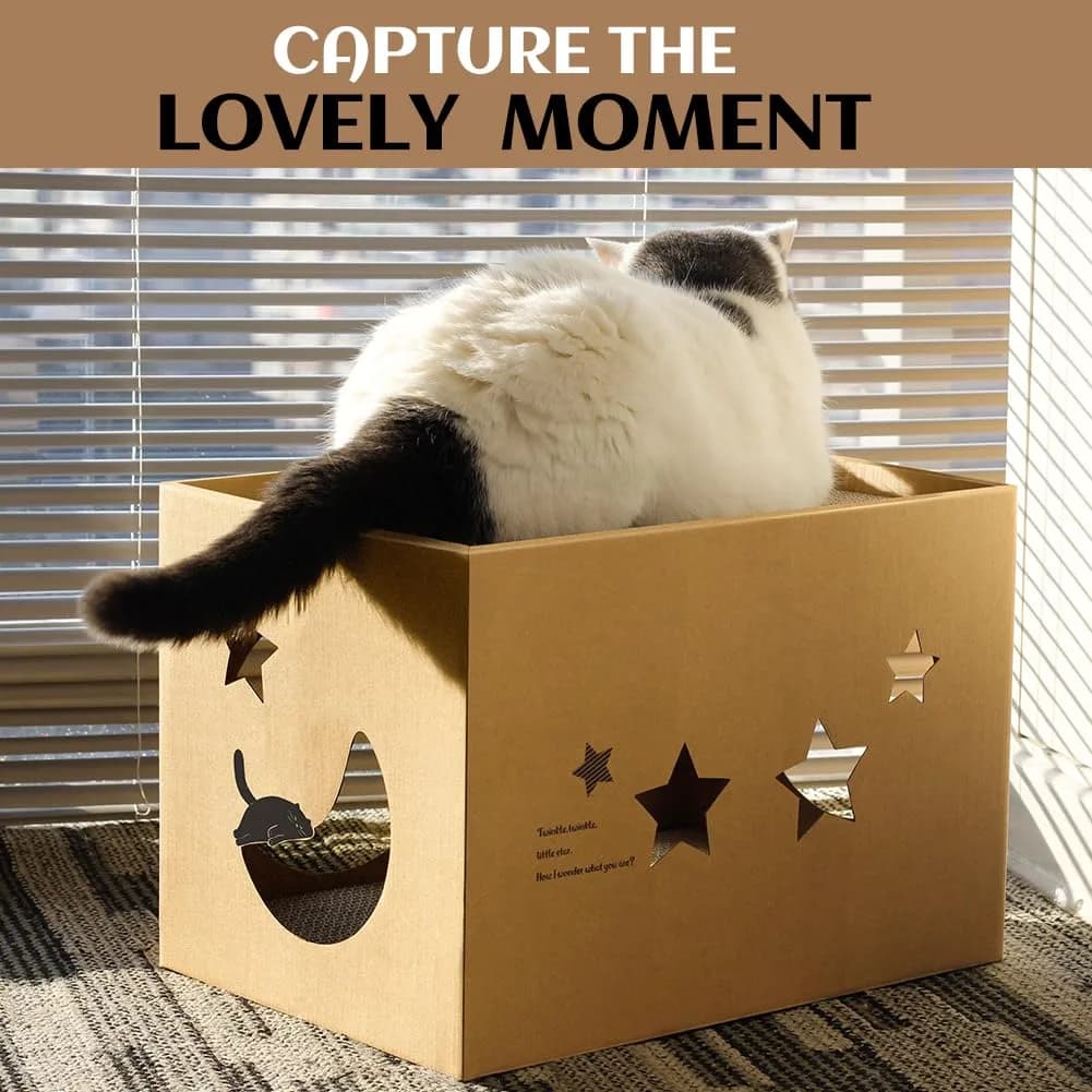 ARGOPET Cat Cardboard House with 2 Scratching Pads, 104cm x 61cm x 61cm (41"L x 24"W x 24"H) | Detachable Star Pattern Lounge - view 6