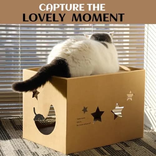ARGOPET Cat Cardboard House with 2 Scratching Pads, 104cm x 61cm x 61cm (41"L x 24"W x 24"H) | Detachable Star Pattern Lounge thumbnail 6