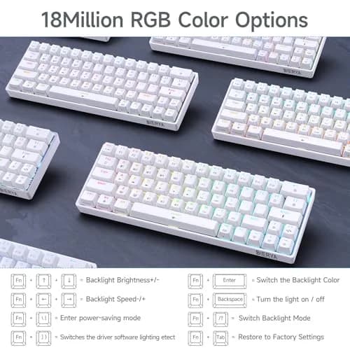 DIERYA DK63 60% Wireless Mechanical Gaming Keyboard | Bluetooth/2.4G/Wired RGB Backlit Compact 63 Keys Mini Office Keyboard | Blue Switch | for Windows PC Gamer Typist (White) thumbnail 6