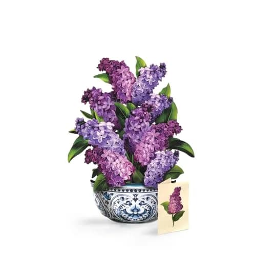 Freshcut Paper Garden Lilacs 3D Pop Up Card 14" x 10.5" | Blooming Art Bouquets thumbnail 1