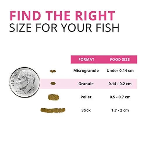 Fluval Bug Bites Color Enhancing Tropical Fish Food Granules 156 g (5.5 oz) Pack of 2 | Insect-Based Protein for Medium to Large Fish thumbnail 3