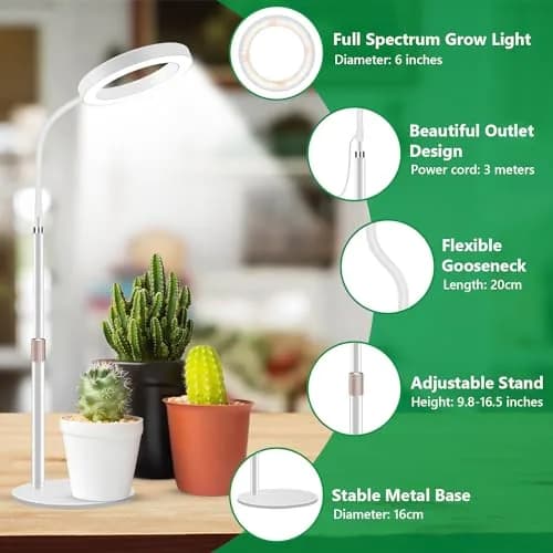 Aumtrly Full Spectrum LED Desk Grow Light with Metal Base, 20W | Adjustable Height & Gooseneck for Indoor Plants thumbnail 5