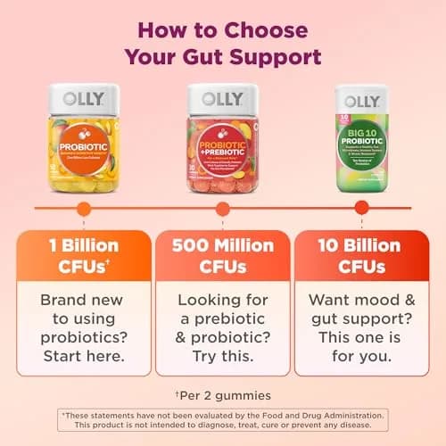 OLLY Probiotic + Prebiotic Gummy 60 Count | Digestive Support with 500 Million CFUs thumbnail 4