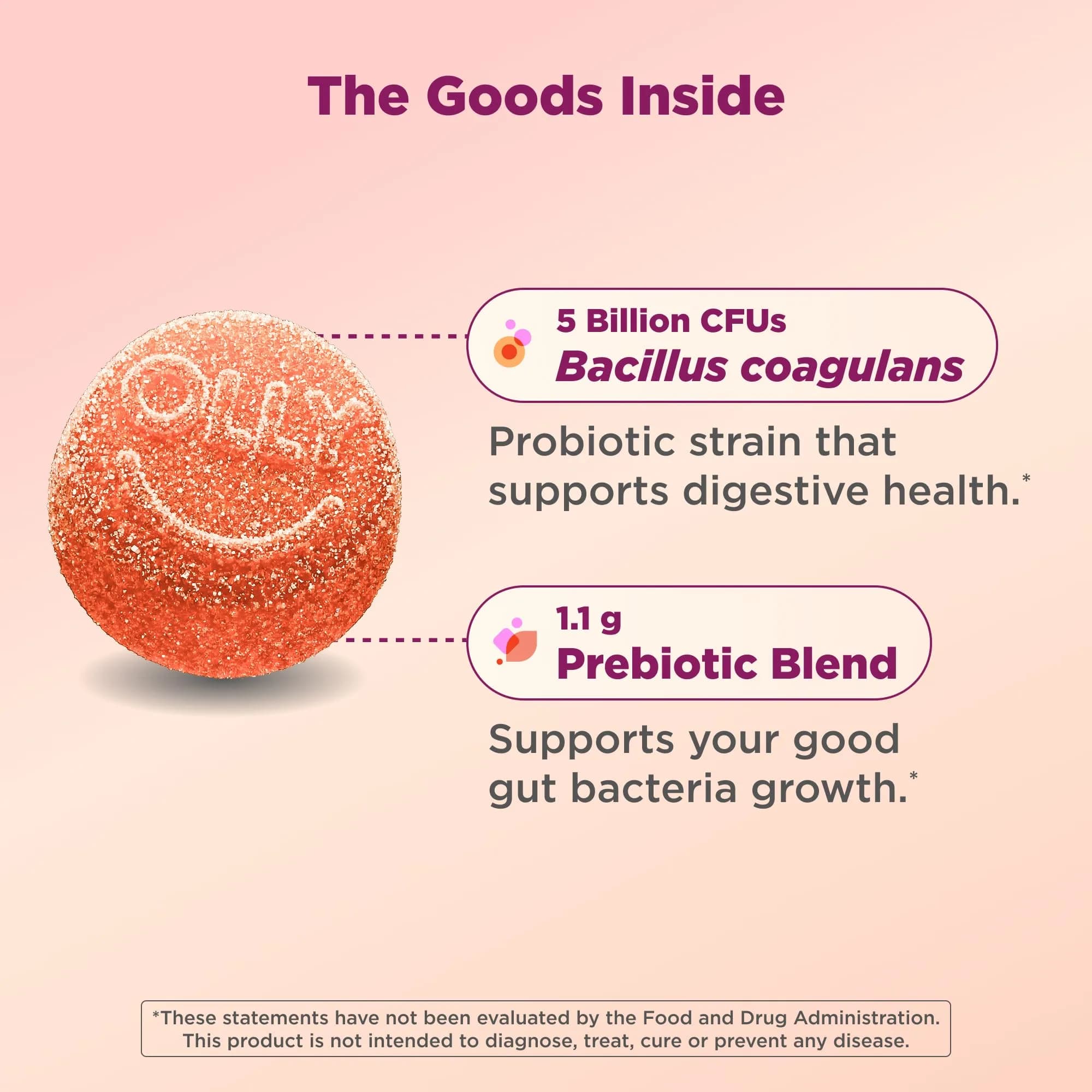 OLLY Probiotic + Prebiotic Gummy 60 Count | Digestive Support with 500 Million CFUs - view 5