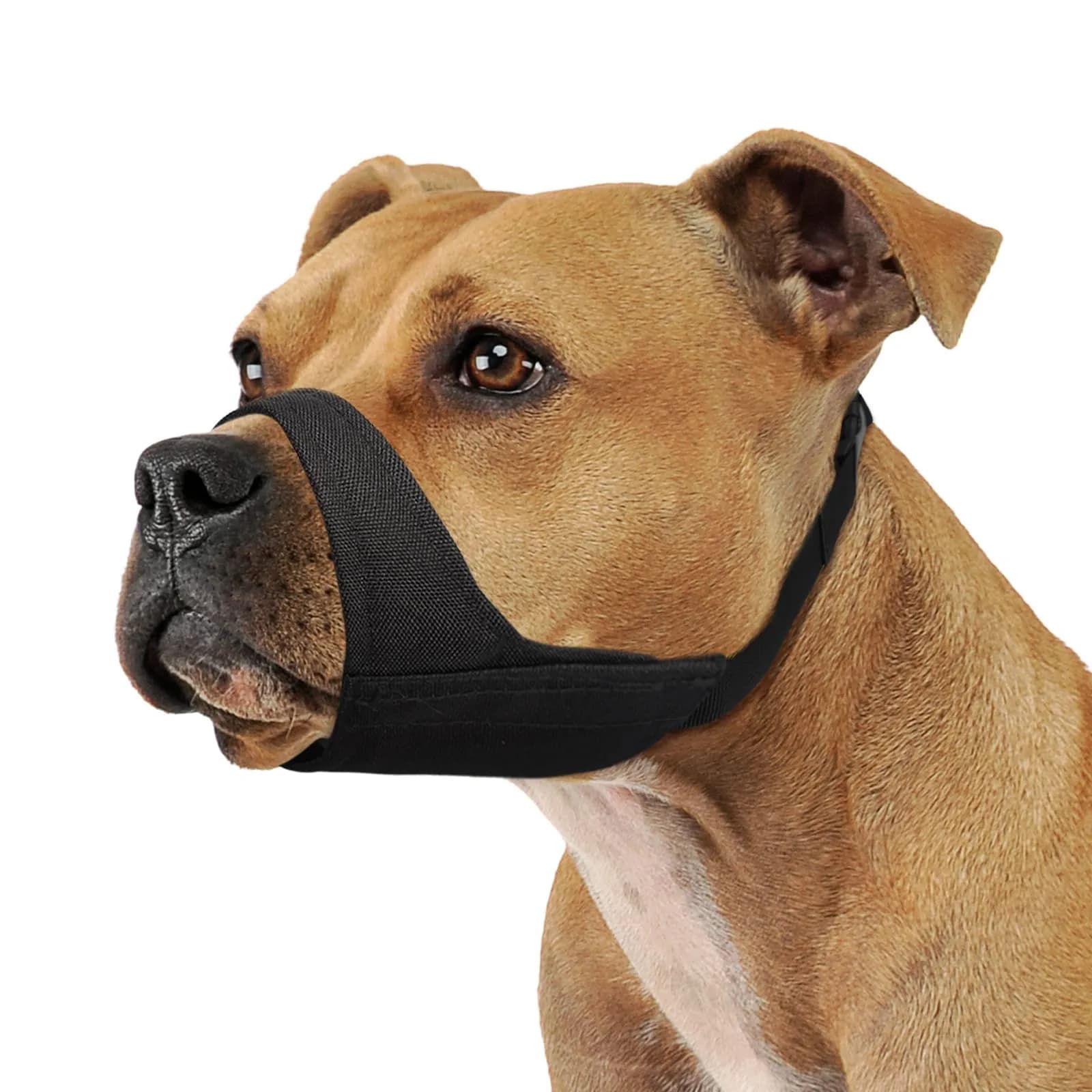 Mayerzon Fabric Pitbull Muzzle for Large Short Snout Dogs | Anti Fierce Biting, Breathable & Durable - main product image