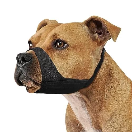 Mayerzon Fabric Pitbull Muzzle for Large Short Snout Dog Anti Fierce Biting | Soft Breathable Fit XL thumbnail 1