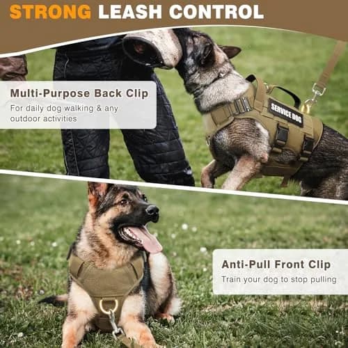 WINSEE Tactical Service Dog Vest Harness for Large Dogs | Heavy Duty MOLLE Vest with 10 Patches, No-Pull Training Walking Harness thumbnail 4
