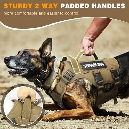 WINSEE Tactical Service Dog Vest Harness for Large Dogs | Heavy Duty MOLLE Vest with 10 Patches, No-Pull Training Walking Harness thumbnail 6