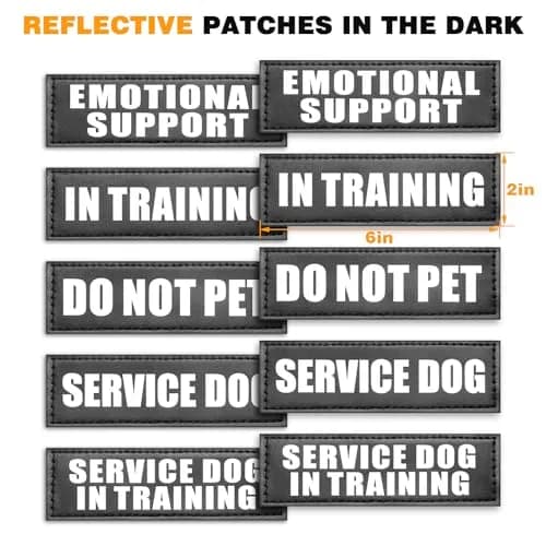 WINSEE Tactical Service Dog Vest Harness for Large Dogs | Heavy Duty MOLLE Vest with 10 Patches, No-Pull Training Walking Harness thumbnail 7