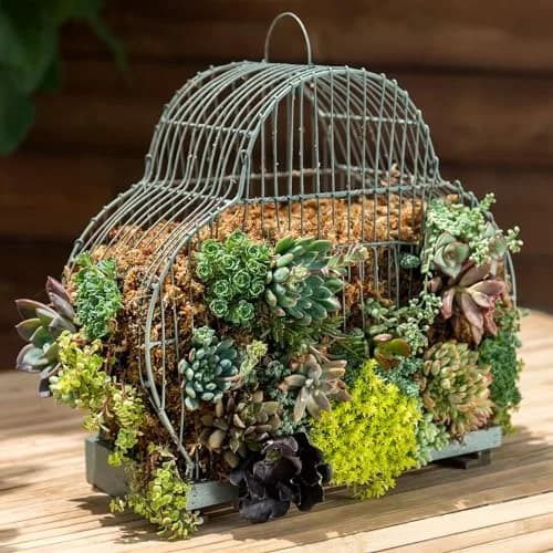 SuperMoss Premium Grade Long Fiber Sphagnum Moss 5.26 kg (11.6 lb) Grower Bale | Superior Water Retention for Orchids and Nursery Plants thumbnail 4
