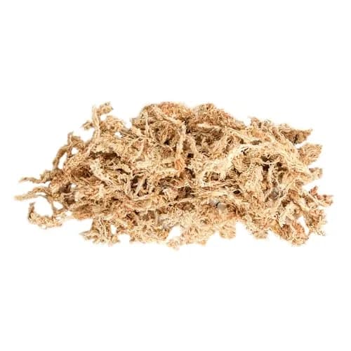 SuperMoss Premium Grade Long Fiber Sphagnum Moss 5.26 kg (11.6 lb) Grower Bale | Superior Water Retention for Orchids and Nursery Plants thumbnail 6