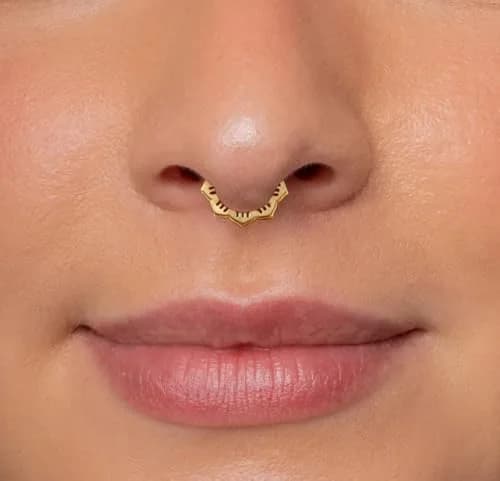 NONTAI 16G Flower Daith Hoop Earring Hinged Septum Nose Ring 8mm Inner Diameter | Surgical Steel Piercing Jewelry thumbnail 2
