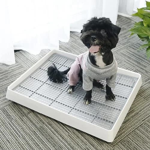 WUWEOT 2 Pack Large Rabbit Litter Box 37cm (14.5"L x 11.7"W x 2.6"H) | Shallow Bunny Restroom with Grate thumbnail 7