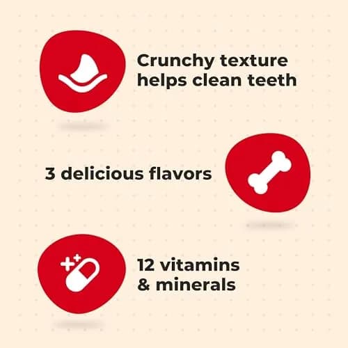 Milk-Bone Flavor Snacks Mini’s Dog Treats 2.5oz | Assorted Flavors, Wholesome & Crunchy thumbnail 3