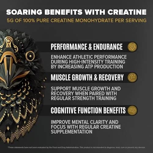 BIRDMAN Falcon Performance Vegan Protein Powder, 5 lb | 31g Protein, 5g Creatine, 5g BCAA, Probiotics, Electrolytes, Low Carb, Sugar Free, Dairy Free thumbnail 5