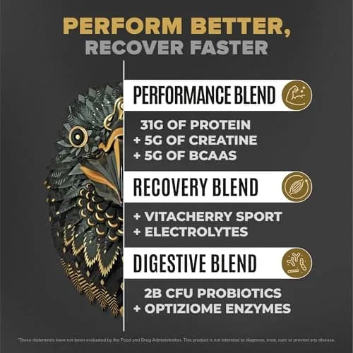 BIRDMAN Falcon Performance Vegan Protein Powder, 5 lb | 31g Protein, 5g Creatine, 5g BCAA, Probiotics, Electrolytes, Low Carb, Sugar Free, Dairy Free thumbnail 2