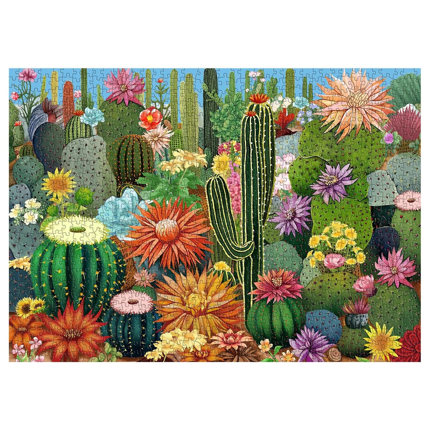 PPuzzling Succulent Garden Jigsaw Puzzles 1000 Pieces 53cm x 75cm | Educational & Non-Toxic Puzzle for Adults — Multicolor