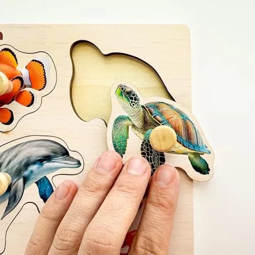 Quokka Wooden Pegged Puzzles for Toddlers 1-3 - 6 Puzzles with Animals, Fruits, Shapes (15cm x 15cm) thumbnail 7