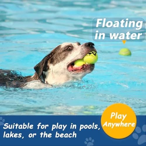 INSUM Squeaky Tennis Balls for Dogs 6 Pack 2.5" | Vibrant, Safe & Durable Play Toy thumbnail 5