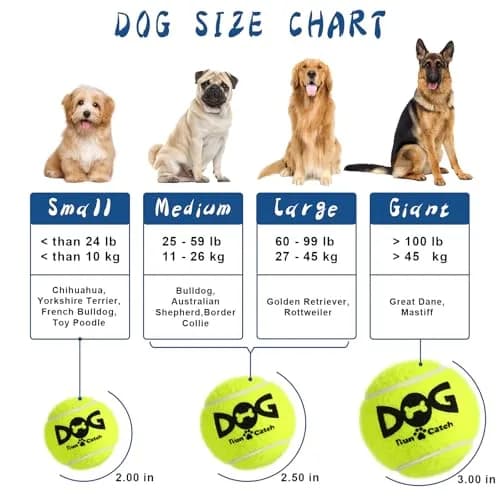 INSUM Squeaky Tennis Balls for Dogs 6 Pack 2.5" | Vibrant, Safe & Durable Play Toy thumbnail 6