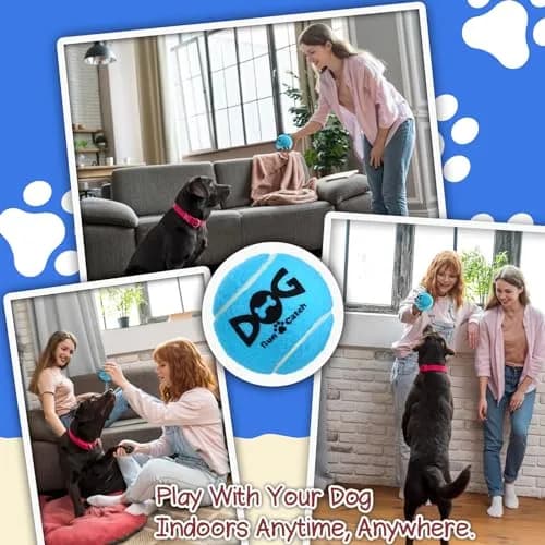 INSUM Squeaky Tennis Balls for Dogs 6 Pack 2.5" | Vibrant, Safe & Durable Play Toy thumbnail 7
