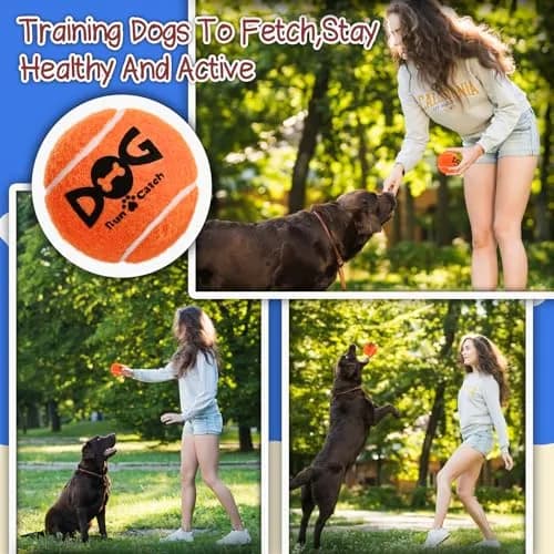 INSUM Squeaky Tennis Balls for Dogs 6 Pack 2.5" | Vibrant, Safe & Durable Play Toy thumbnail 8