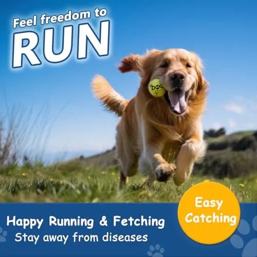 INSUM Squeaky Tennis Balls for Dogs 6 Pack 2.5" | Vibrant, Safe & Durable Play Toy thumbnail 2