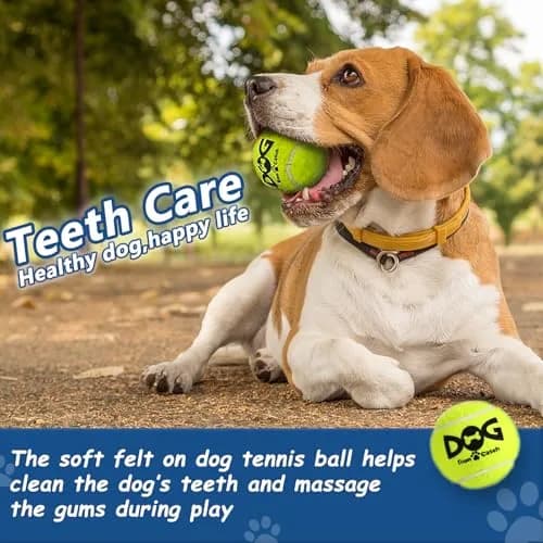 INSUM Squeaky Tennis Balls for Dogs 6 Pack 2.5" | Vibrant, Safe & Durable Play Toy thumbnail 3