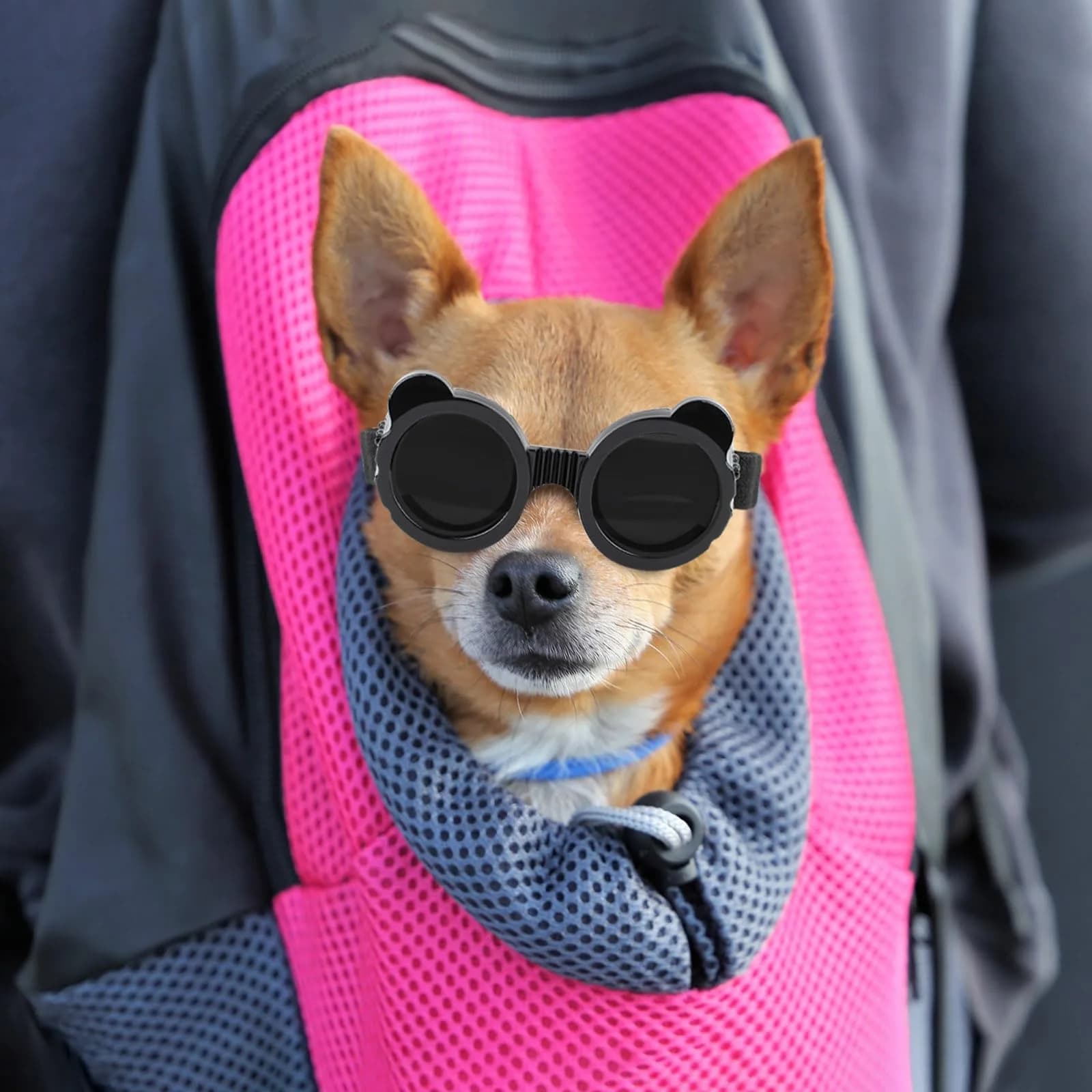 Enjoying Panda Black Dog Goggles for X-Small Breeds | UV Protection, Windproof - view 2