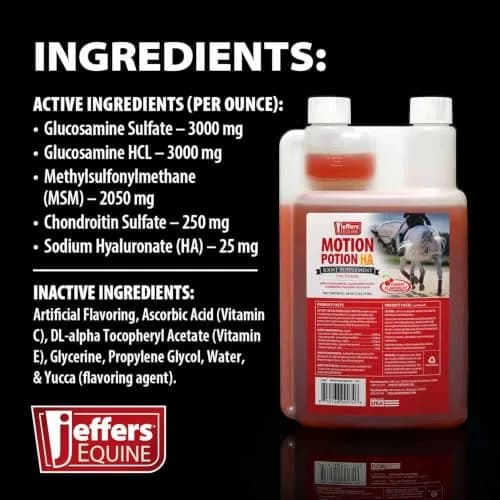 Jeffers Motion Potion Joint Supplement Liquid with HA for Horses | 38 oz thumbnail 4