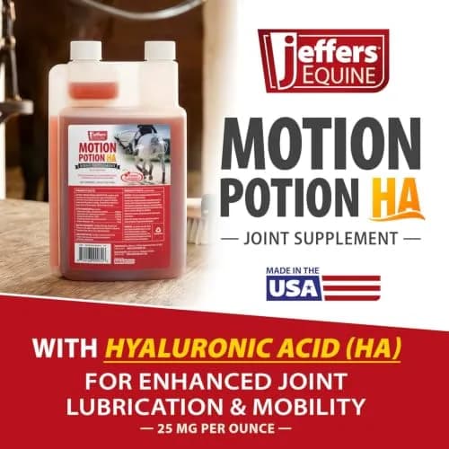 Jeffers Motion Potion Joint Supplement Liquid with HA for Horses | 38 oz thumbnail 5