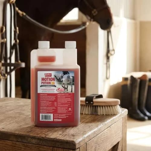 Jeffers Motion Potion Joint Supplement Liquid with HA for Horses | 38 oz thumbnail 6