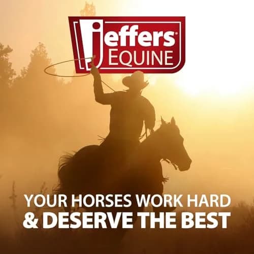 Jeffers Motion Potion Joint Supplement Liquid with HA for Horses | 38 oz thumbnail 7