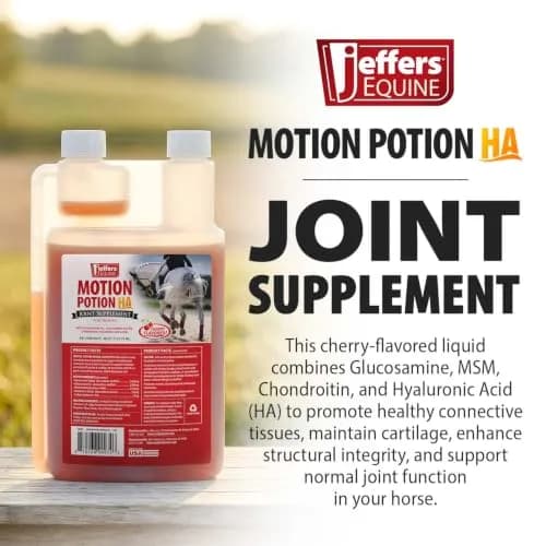 Jeffers Motion Potion Joint Supplement Liquid with HA for Horses | 38 oz thumbnail 2