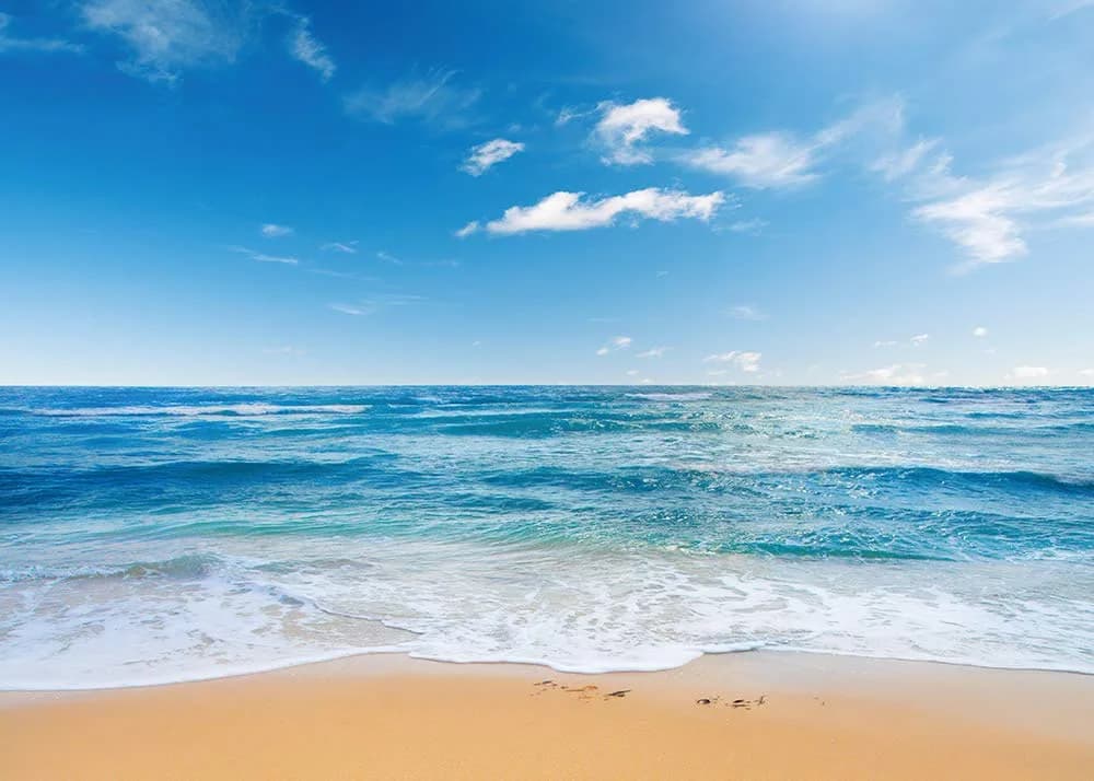 Yongqian 8x6ft Seaside Beach Photography Backdrop Blue Sky Summer Hawaii Ocean Beach | Wedding & Party Decoration