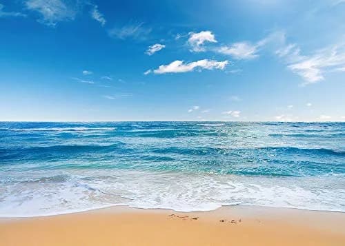 Yongqian 8x6ft Seaside Beach Photography Backdrop Blue Sky Summer Hawaii Ocean Beach | Wedding & Party Decoration thumbnail 1