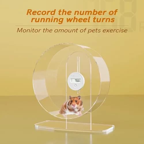 Niteangel Hamster Wheel Pedometer 8" | Accurate Exercise Tracking for Small Pets thumbnail 4