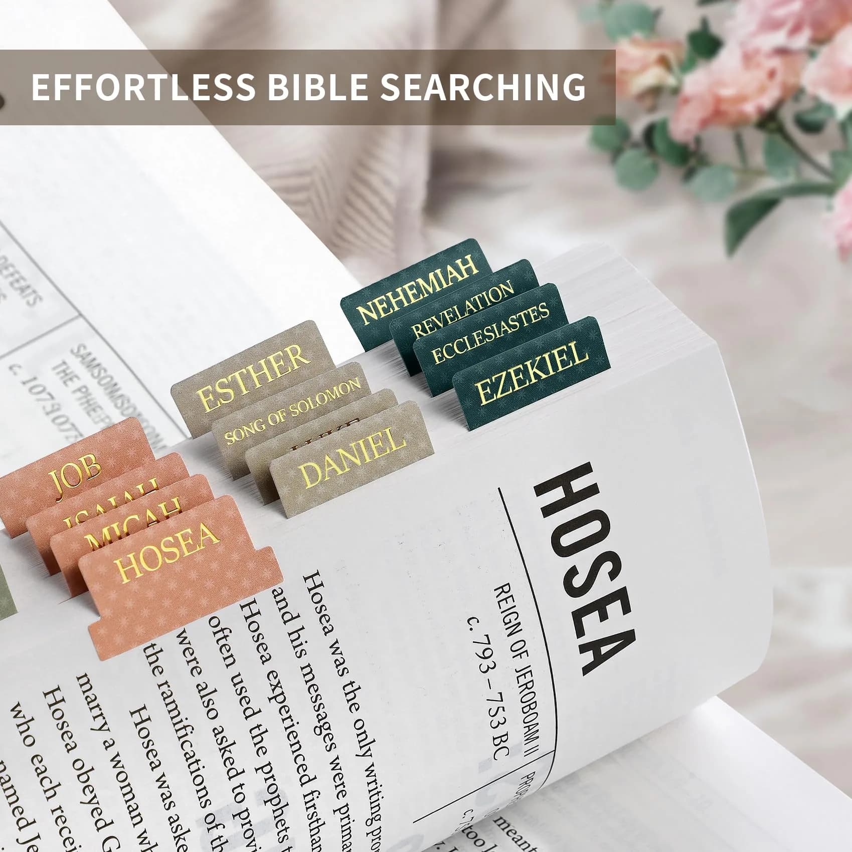 Taja Bible Tabs for Women & Men, Large Print Neutral Bible Tabs (66+9 Blank Tabs) - Starry | Easy Bible Navigation - view 3