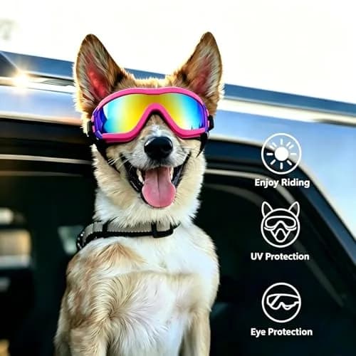 NAMSAN Dog Sunglasses for Medium to Large Dogs, UV Protection Dog Goggles Large Breed, Pink | Adjustable Sporty Eyewear thumbnail 6