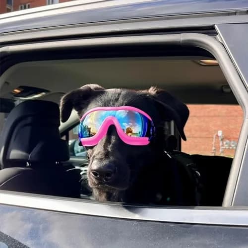 NAMSAN Dog Sunglasses for Medium to Large Dogs, UV Protection Dog Goggles Large Breed, Pink | Adjustable Sporty Eyewear thumbnail 8