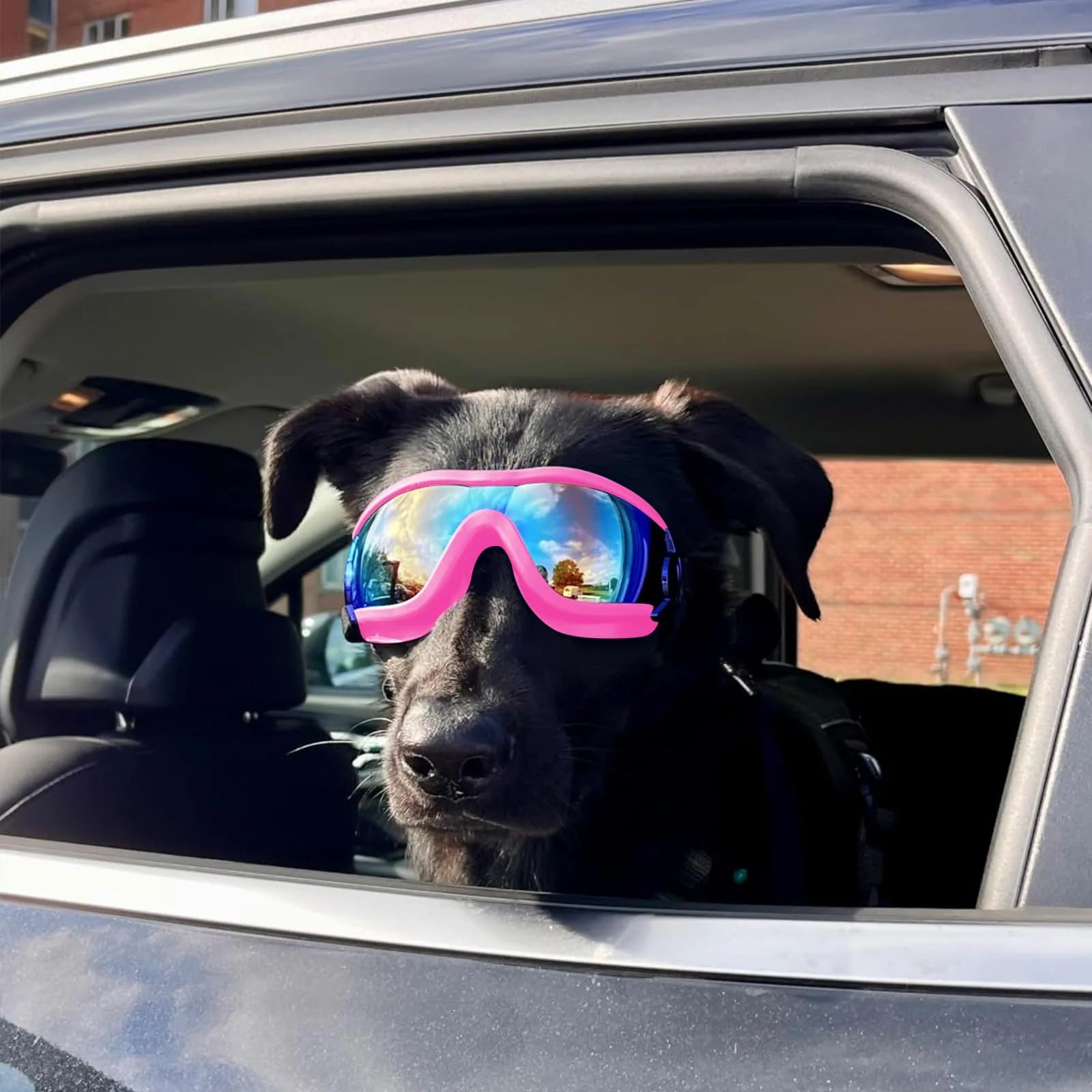 NAMSAN Dog Sunglasses for Medium to Large Dogs, UV Protection Dog Goggles Large Breed, Pink | Adjustable Sporty Eyewear - view 8