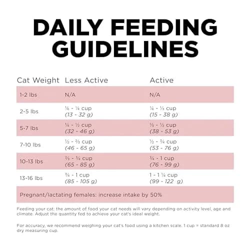 Go! Solutions Sensitivities Limited Ingredient Salmon Dry Cat Food, 12 lb | Grain-Free & Sensitive Stomach Support thumbnail 9