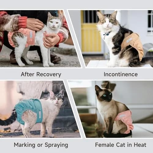 Langsprit Reusable Cat Diapers for Female Male Cats | Washable & Leak-Free (Medium) thumbnail 5