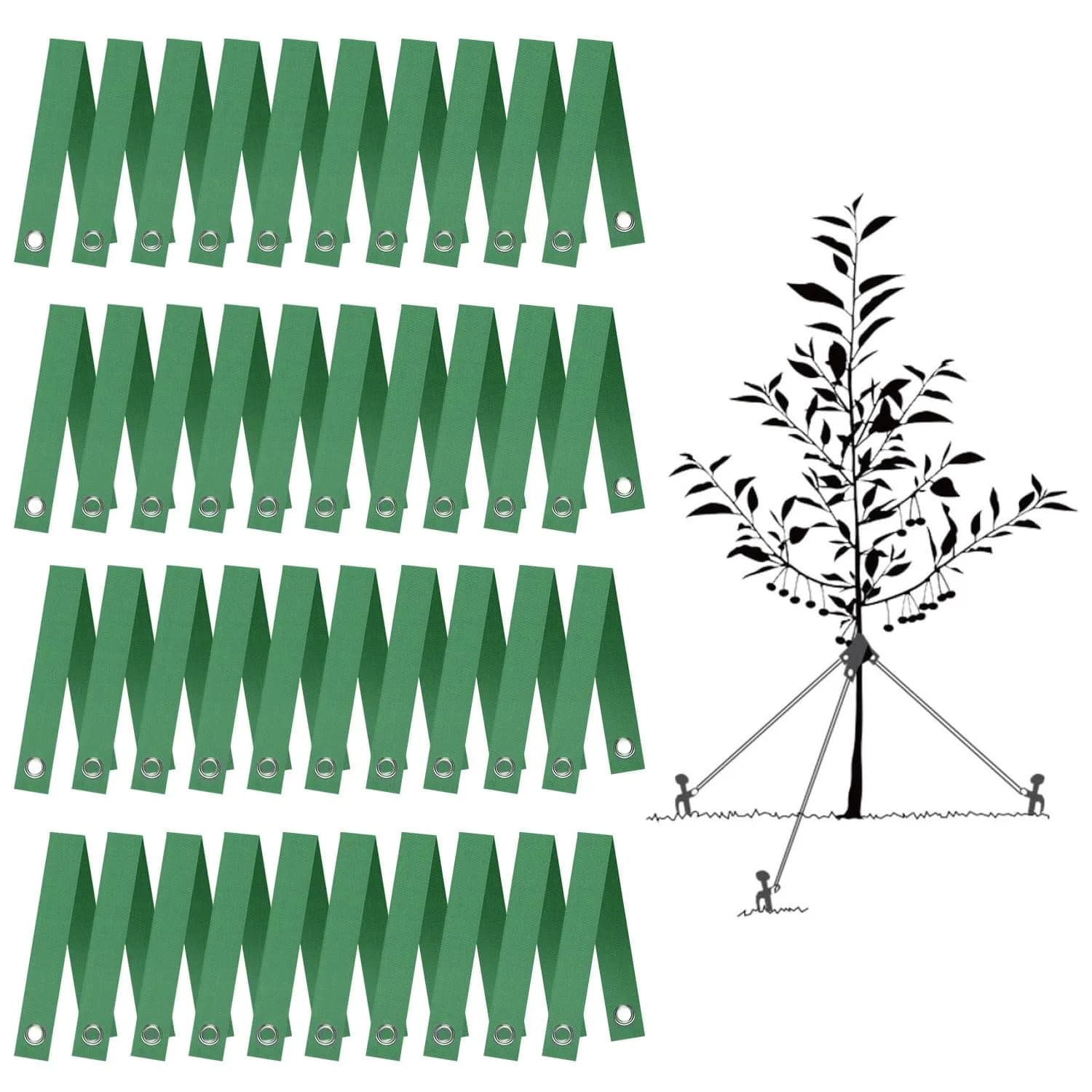 FCENDS Tree Support Straps for Staking, 40 PCS 39.6 cm (15.6 in) Green Nylon Straps | Hurricane Protection & Straightening Ties - main product image